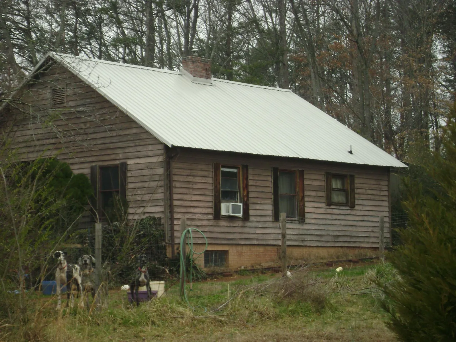 White metal roof on an old wood sided farmhouse, from a Asphalt Shingle Roof Repair job in Spring Hill
